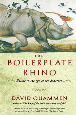 Cover of the book The Boilerplate Rhino by Lori Ostlund
