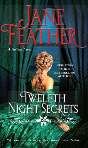 Cover of the book Twelfth Night Secrets by Jillian Hunter