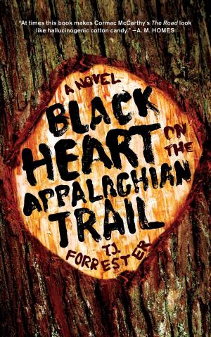 Cover of the book Black Heart on the Appalachian Trail by Richard Rhodes