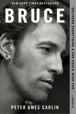 Cover of the book Bruce by Fanny Slater