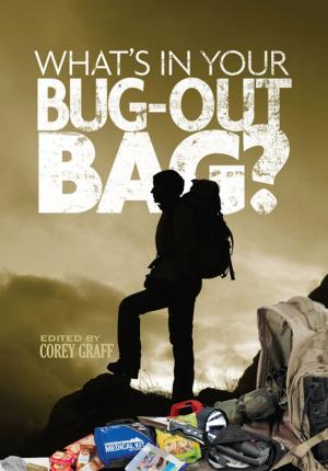Cover of the book What's in Your Bug Out Bag? by Jill Gorski