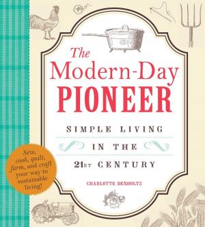 Cover of the book The Modern-Day Pioneer by Louis Trimble