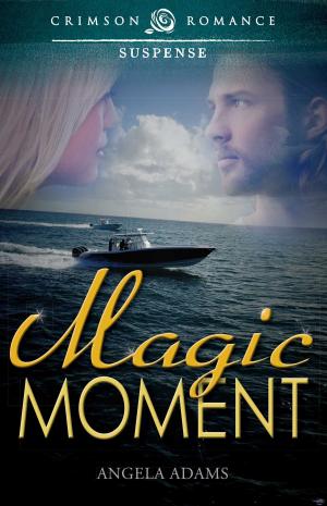 Cover of the book Magic Moment by Peggy Bird