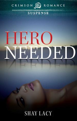 Book cover of Hero Needed