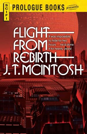 Cover of the book Flight From Rebirth by Katie Martin