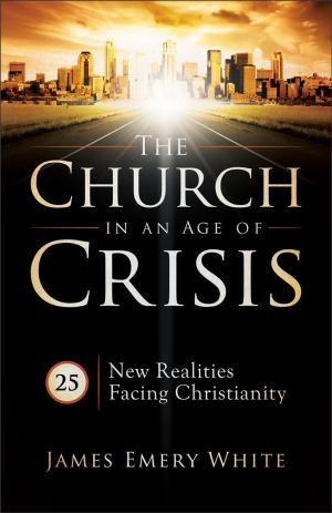 Cover of the book Church in an Age of Crisis, The by Robert Hotchkin