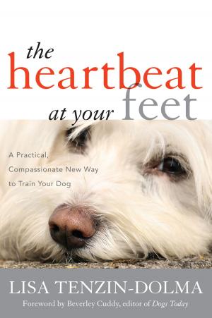 Book cover of The Heartbeat at Your Feet