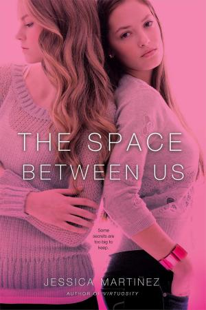 Cover of the book The Space Between Us by Carolyn Keene