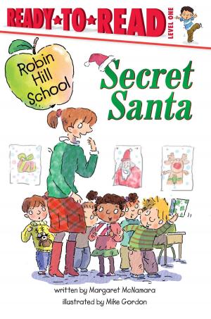 Cover of the book Secret Santa by Cordelia Evans