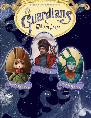 Cover of the book The Guardians by Evan Kuhlman