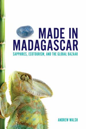 Cover of the book Made in Madagascar by Michael Burger