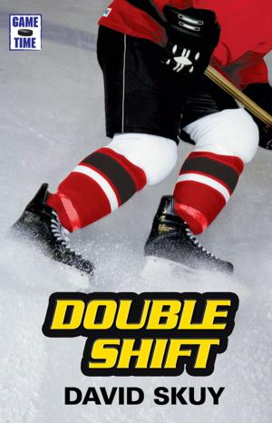 Cover of the book Double Shift by David Skuy