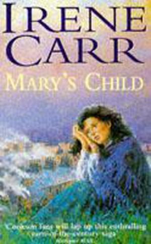 Cover of the book Mary's Child by Jill Dann, Derek Dann