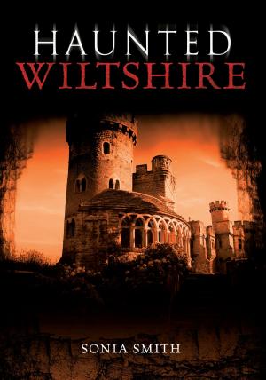 Cover of the book Haunted Wiltshire by J. Patrick Coby