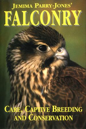 Cover of the book Falconry by Marc Taro Holmes