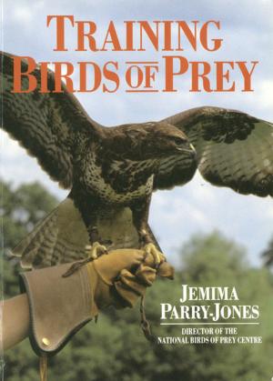 Cover of the book Training Birds Of Prey by Delia Adey, Erika Peto