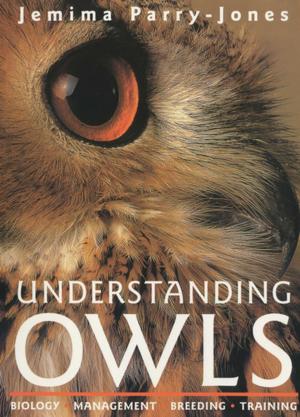 Cover of the book Understanding Owls by Donald Dahl