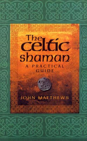 Cover of the book The Celtic Shaman by Douglas Adams, James Goss