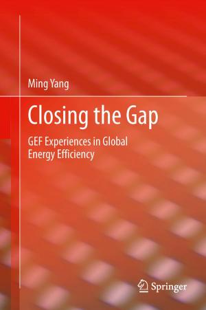 Cover of the book Closing the Gap by Jo Howard, Paul Telfer