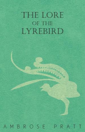 Book cover of The Lore of the Lyrebird