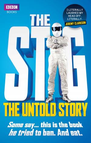 Cover of the book The Stig by Len Guff