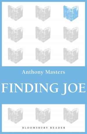 Cover of the book Finding Joe by Professor Stewart Goetz