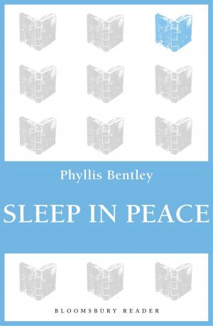 Cover of the book Sleep in Peace by Father Christopher A. Fallon