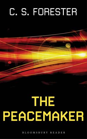 Cover of the book The Peacemaker by Dr. Martín Plot