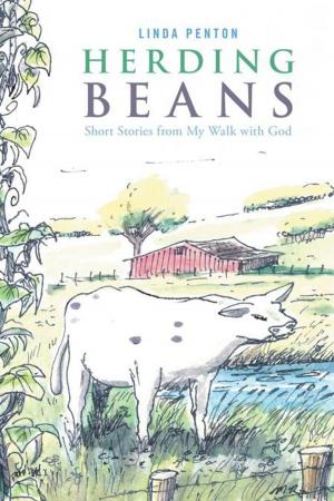 Cover of the book Herding Beans by Pamela Power