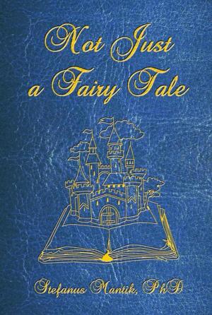 Cover of the book Not Just a Fairy Tale by David Netherton