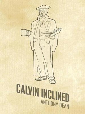 Cover of the book Calvin Inclined by Hunter Kallay