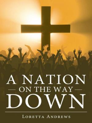 Cover of the book A Nation on the Way Down by Fred Brown