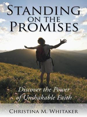 Cover of the book Standing on the Promises by Kristi Walters