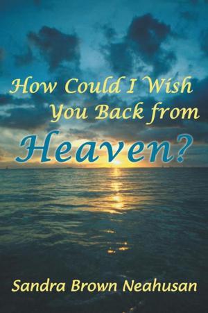 Cover of the book How Could I Wish You Back from Heaven? by Dennis E. Coates
