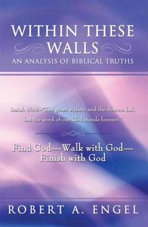 Cover of the book Within These Walls an Analysis of Biblical Truths by Duane Shoebridge