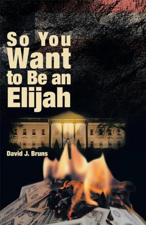 bigCover of the book So You Want to Be an Elijah by 