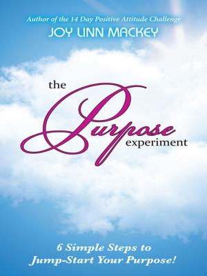 Cover of the book The Purpose Experiment by Wally Hauck, PhD, CSP
