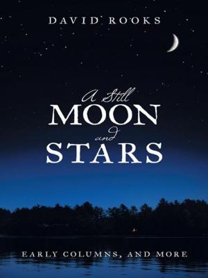 Cover of the book A Still Moon and Stars by Katie Jordan