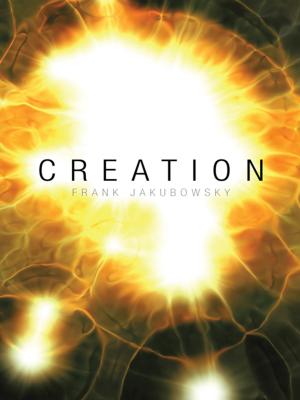 Cover of the book Creation by Vicki Margo Stuve Hughes