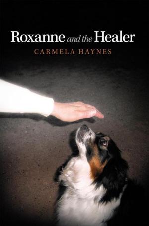 Cover of the book Roxanne and the Healer by Cho Larson