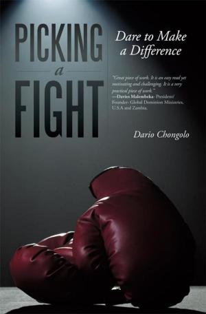 Cover of the book Picking a Fight by Warren Nieblas MacKenzie