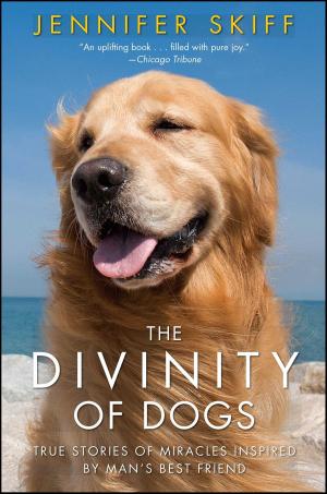 Cover of the book The Divinity of Dogs by Ingrid lorch Bacci