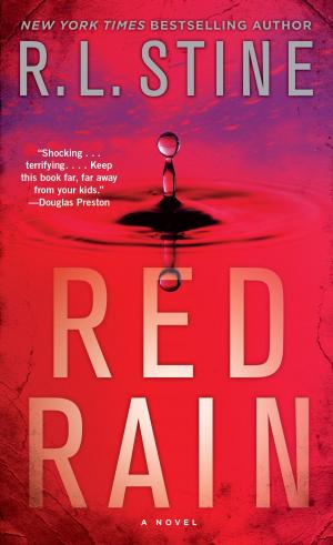 Cover of the book Red Rain by Daniel F. Seidman, Ph.D.