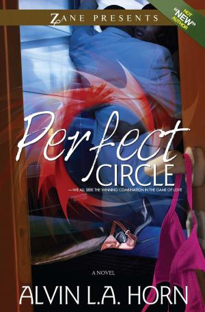 Cover of the book Perfect Circle by Joelle Sterling