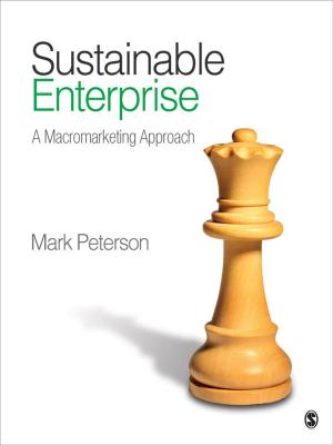 Cover of the book Sustainable Enterprise by Lesley-Jane Eales-Reynolds, Brenda Judge, Elaine McCreery, Patrick Jones