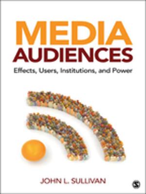Cover of the book Media Audiences by Dr Shuang Liu, Zala Volcic, Cindy Gallois