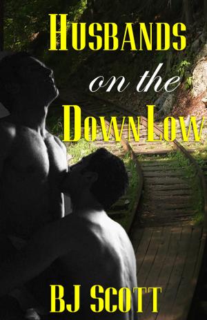 Book cover of Husbands on the Down Low