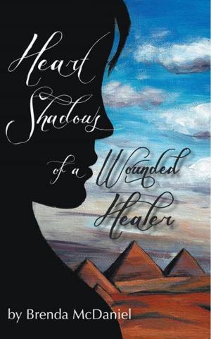Cover of the book Heart Shadows of a Wounded Healer by Wendy E. Slater