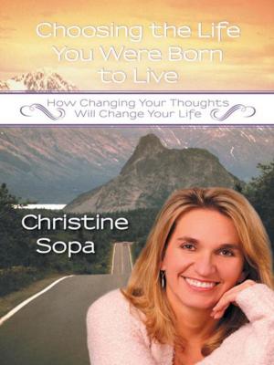 bigCover of the book Choosing the Life You Were Born to Live by 