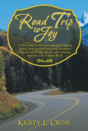 Book cover of Road Trip to Joy